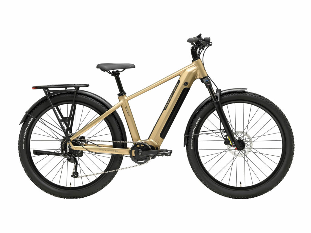 ebike trekking man